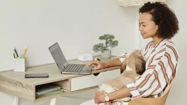 Person working on a laptop with a dog on their lap.
