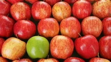 A row of red apples with one green apple in the center.