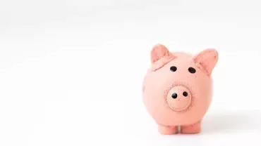 Colorful piggy bank on white background.