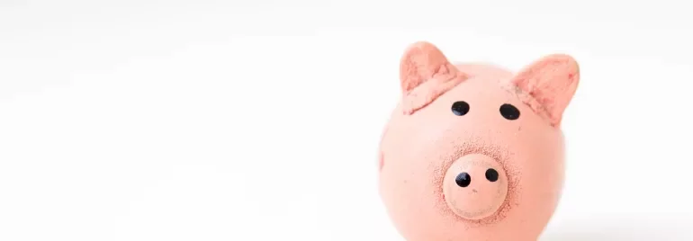 Colorful piggy bank on white background.