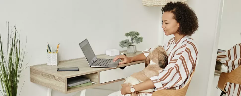 Person working on a laptop with a dog on their lap.